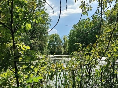 � 2025 ���� � ����� �� �� ������� ���������� �� ����� ������ �����, ��� � 2024-�