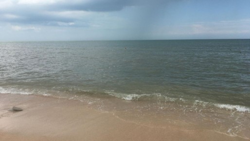 Расчищенные от мазута пляжи Анапы планируют открыть к 1 июня