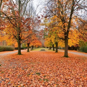 ��� ���������� �� ���������� � ���������� ������ ������� � ������������� �������