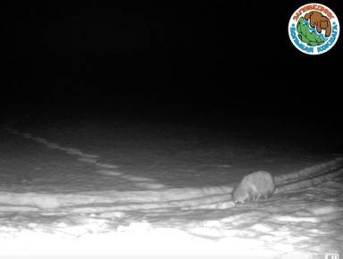 � ����������� �������� ������� � ����� �� ����������� ������������� ��������� ��������� ����