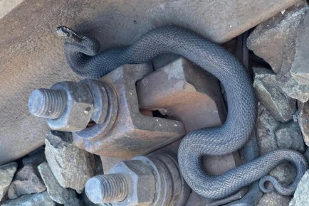 � �������� ����� �������� ���� � ����� �� �� ������� ������ ��������� ����