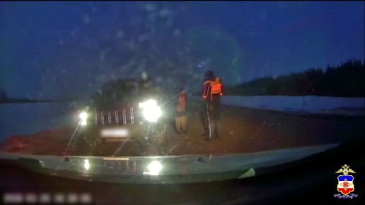 Автоледи, которой стало плохо за рулём на трассе, оперативно доставили в больницу автоинспекторы в Марий Эл