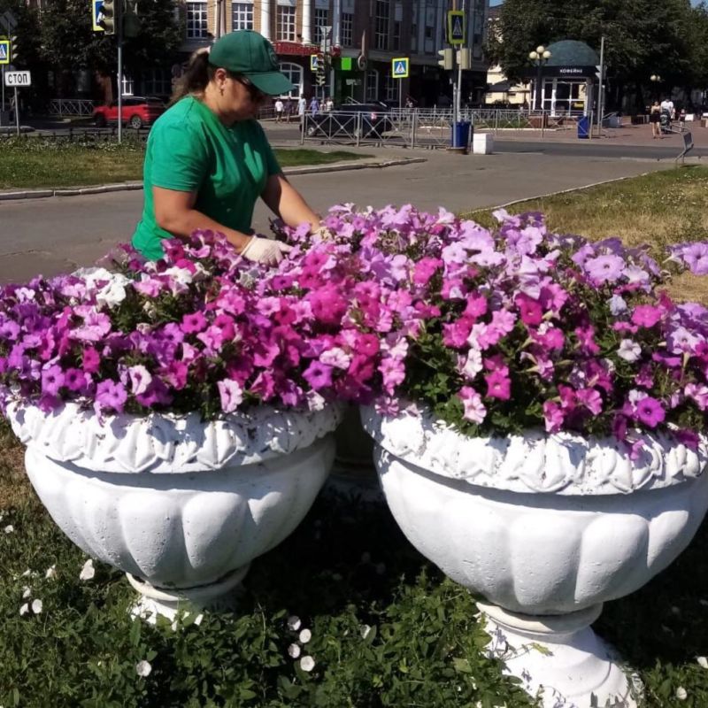 � ����� ��������� ������� ��������� ��������� ��������� ���������� ������