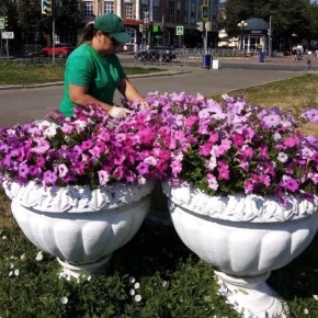 В мэрии марийской столицы планируют расширить программу озеленения города