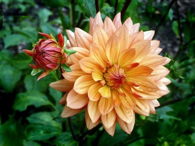 ��� ��������� ������ ��������� �� �����: ������ �� ��������