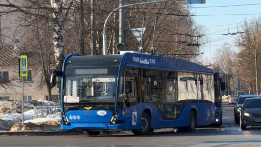 В столице Марий Эл задержали 16-летнего подростка-зацепера