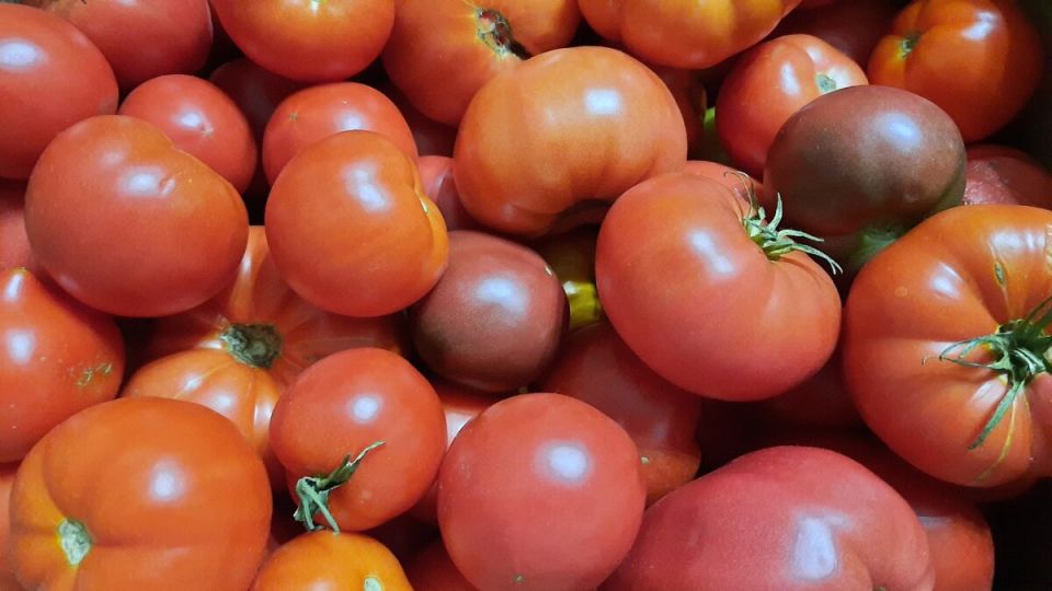 Как заготовить помидоры на зиму: два простых способа