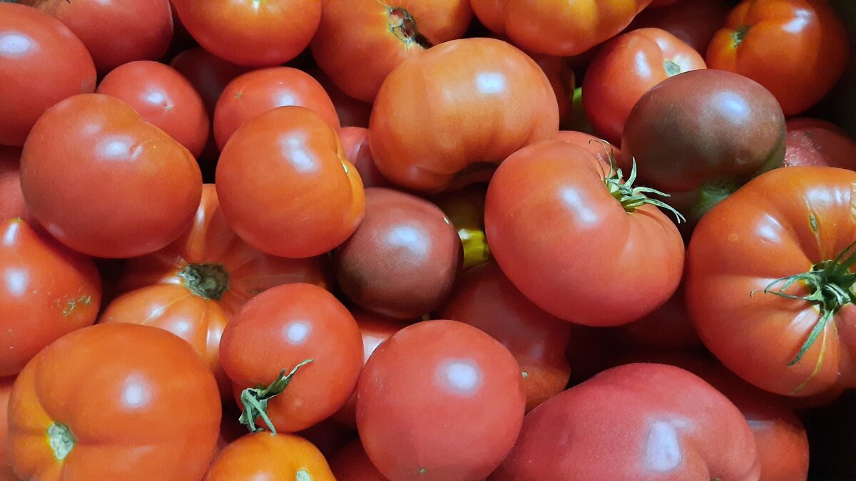 Как заготовить помидоры на зиму: два простых способа