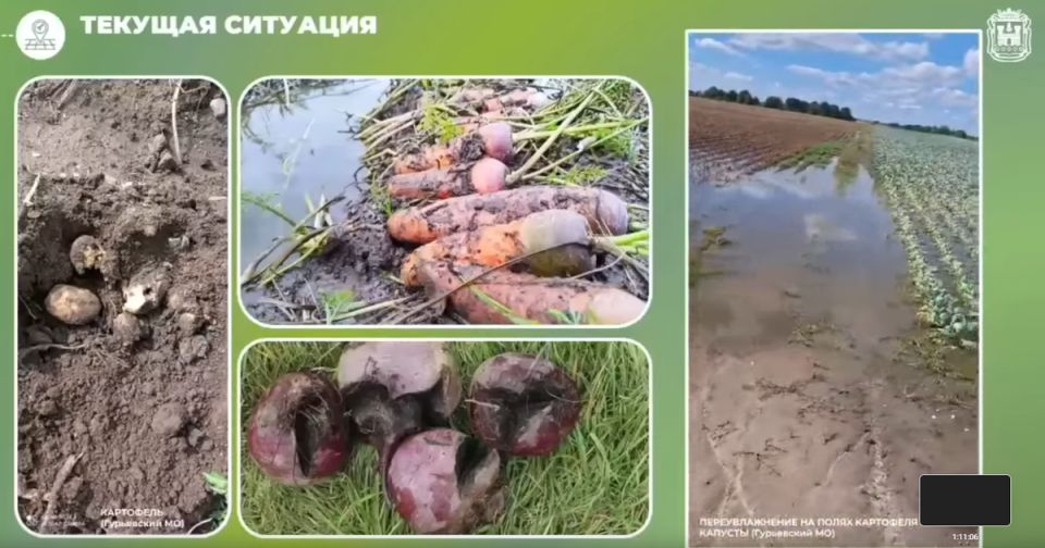 ������� ������������ ������������ � �������� ��������: ����� 30% ��������� ���� � �������