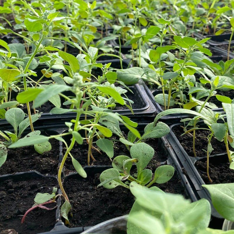 � ������ �����! ����� ���� ���� �������� ����� � �����