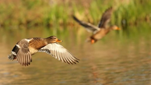 � ����� �� ��������� ����� ����� �� �������� ����