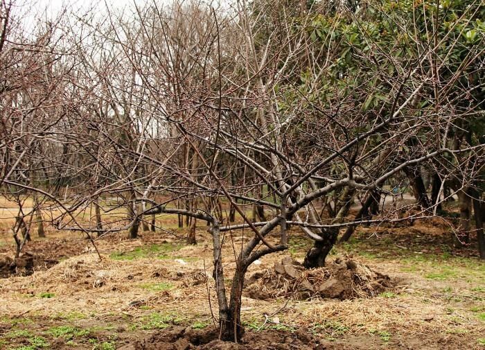 ������� �������: �������� �� �����