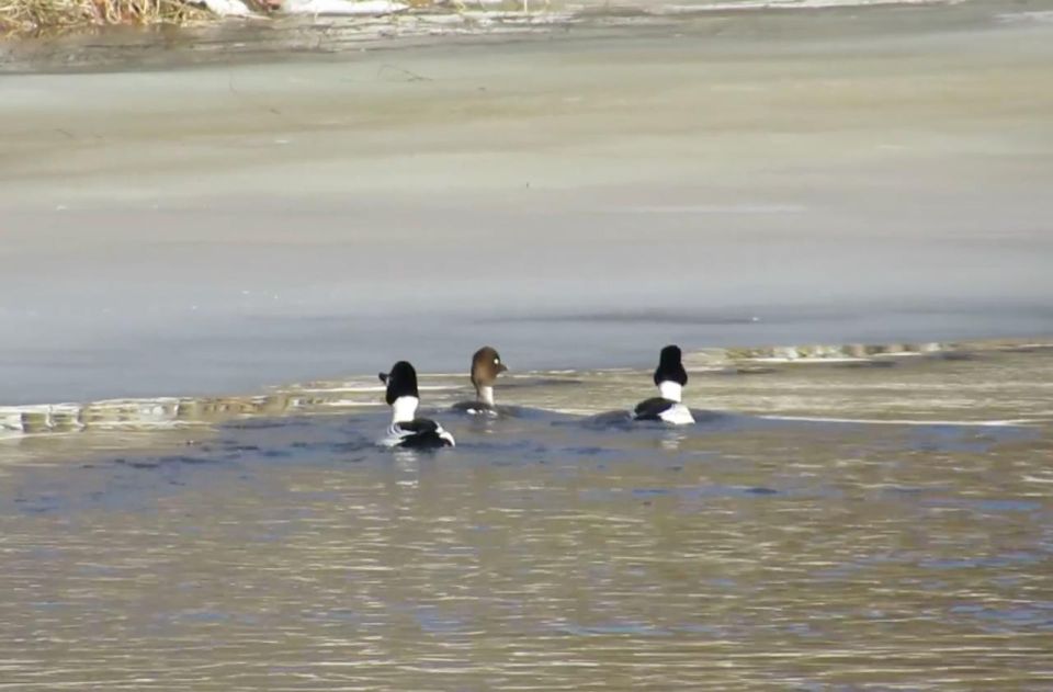 ������� ������� ��������� ����������� �������� ������� �������� �������� ��������� ������������� ����, � ������� �� ���������� ������ ���� �������� ��������� �� ������ ����