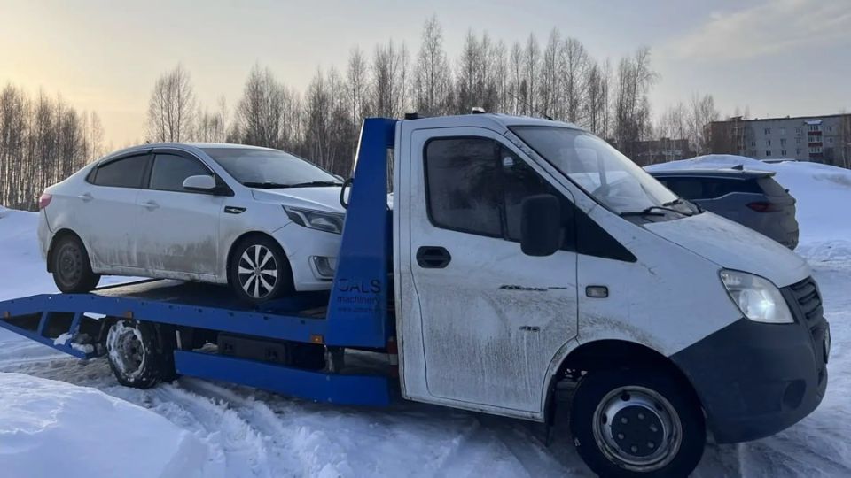 Жительница Марий Эл может остаться без Kia Rio из-за долга