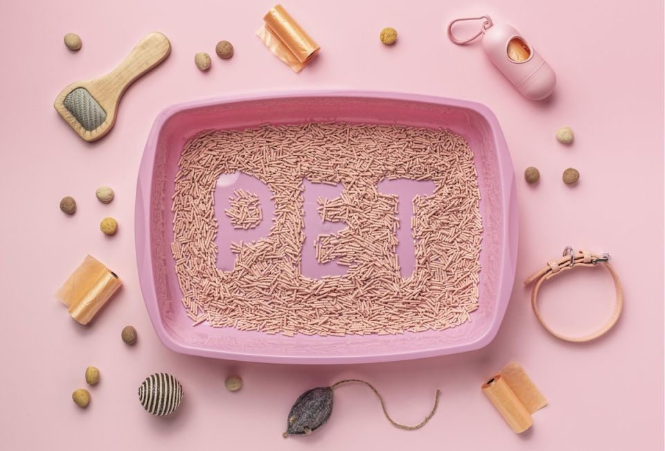 ������ ��������� �����: ������, � ������� �� �� ������������