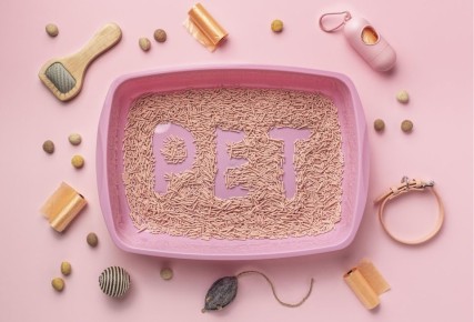 Уборка кошачьего лотка: советы, о которых вы не догадывались