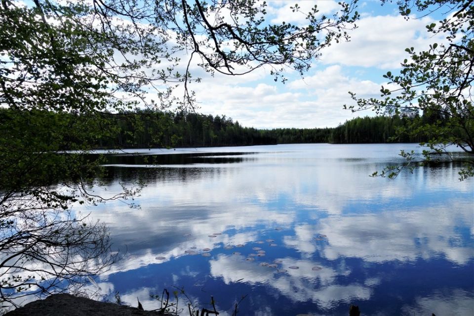 �������� ����� ������-��� � ������ ������ ����������� � 10 ������