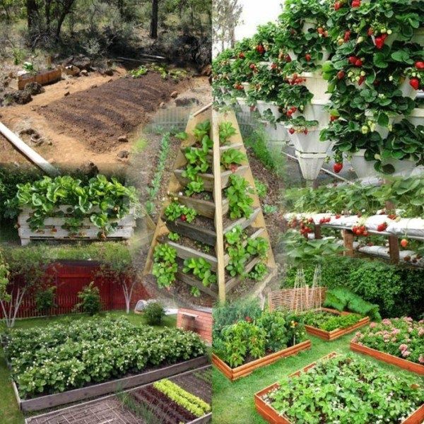 ������� �������� ������� ��������: ������ � ������