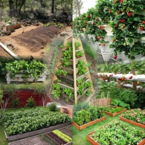 ������� �������� ������� ��������: ������ � ������