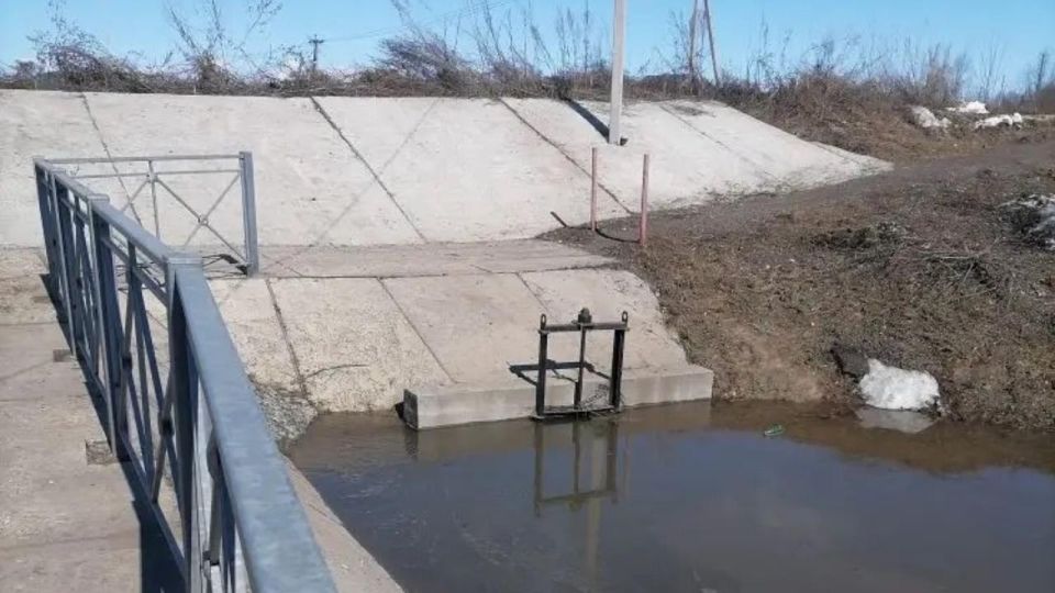 � ���� ������ � ��������� ������-��� �������� ������� ����