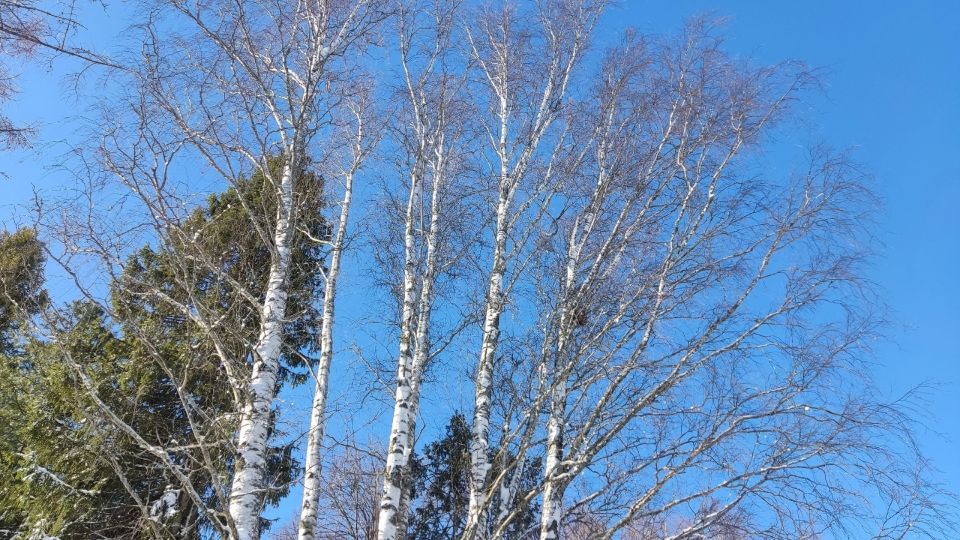 ������ ����� �����: � ����� �� � ���� �������� ������������