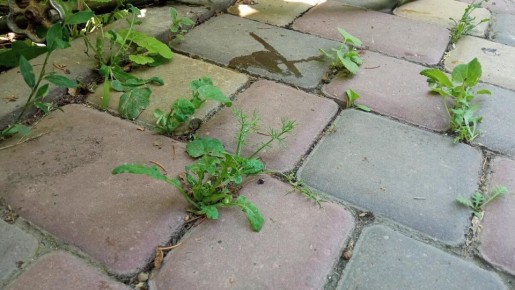 ������� ����������� ������ � ��������� �� ������ ��������