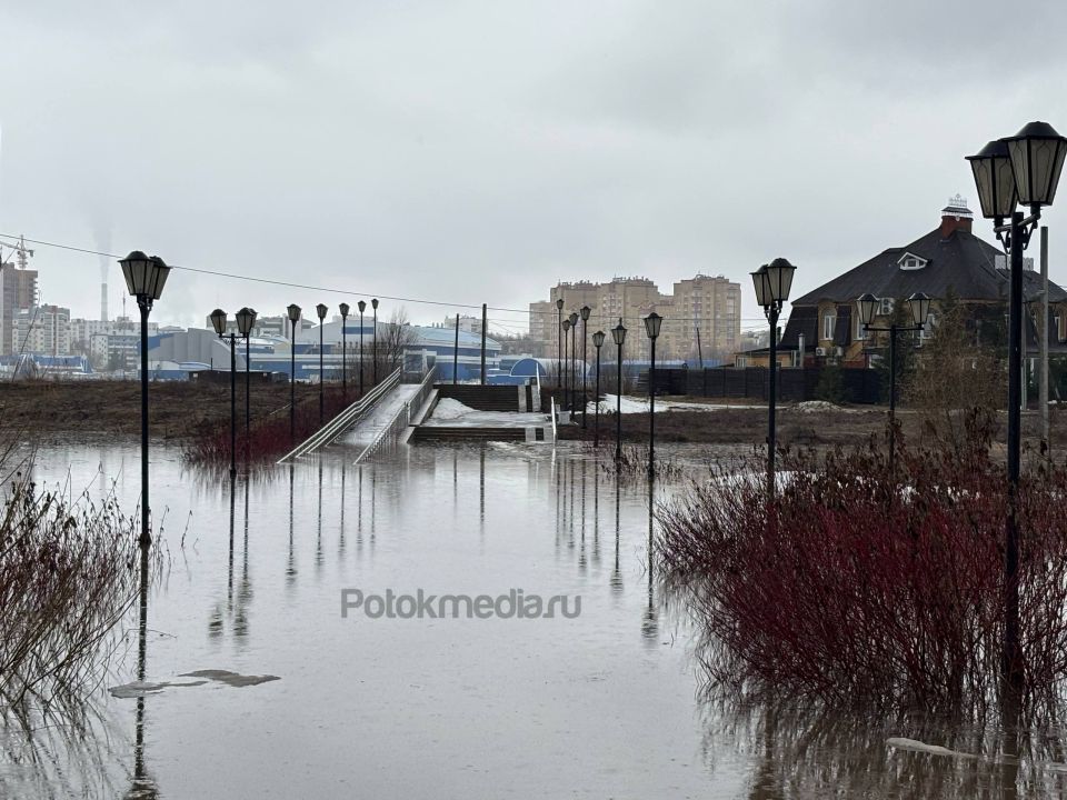 Вот так обстоят дела на Аллее здоровья