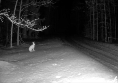 � ����������� �������� ������� ����������� �����������, ��� ����-����� �������� ������� ���� ��������