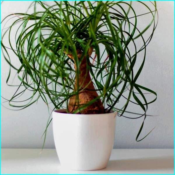 ������: ��������� �������� ��� ������������ ���������