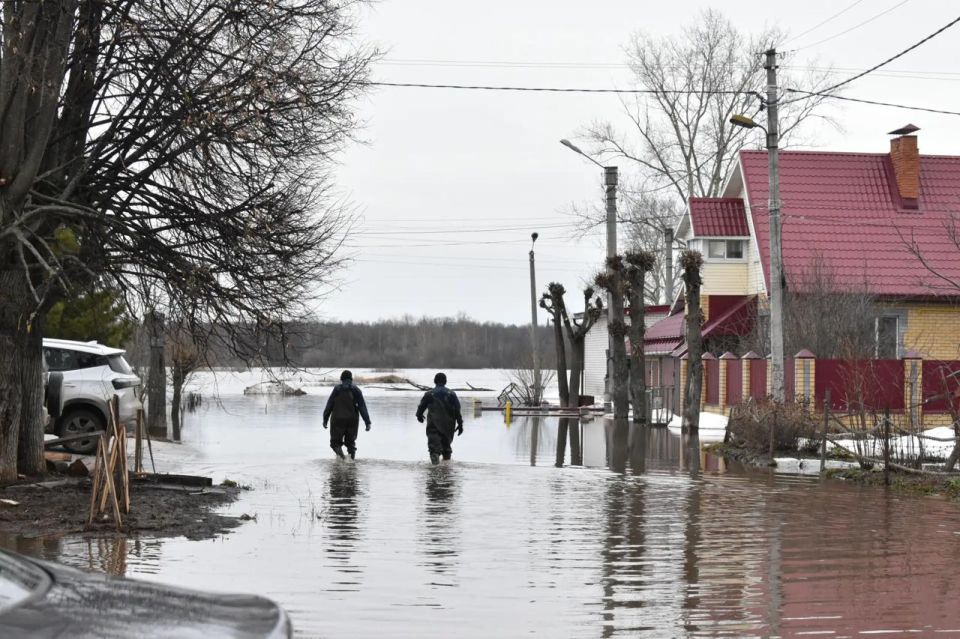 � ������-��� ��������� ���� ������������ 10 ������� �� ���� ����������� �� ����� �������������