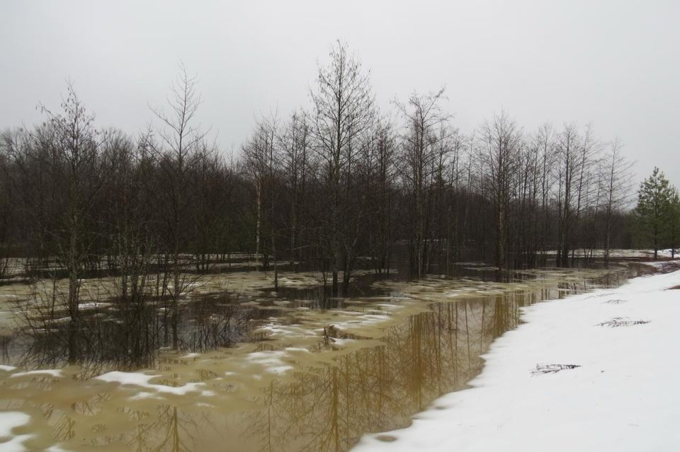 �� ���� ������� ������� �������� �������� ���� ��������� ���������