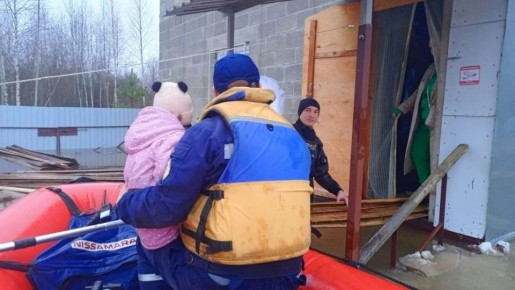 Семью с тремя детьми эвакуировали из затопленного СНТ в Марий Эл