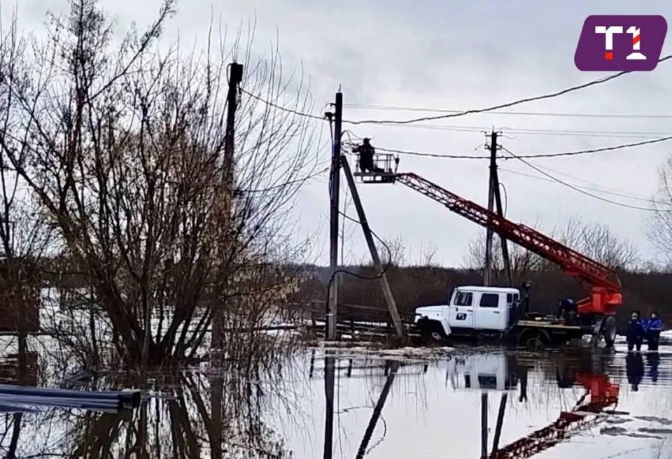 ����������������� ������ �� ���������������� ���������� ��393 ������������