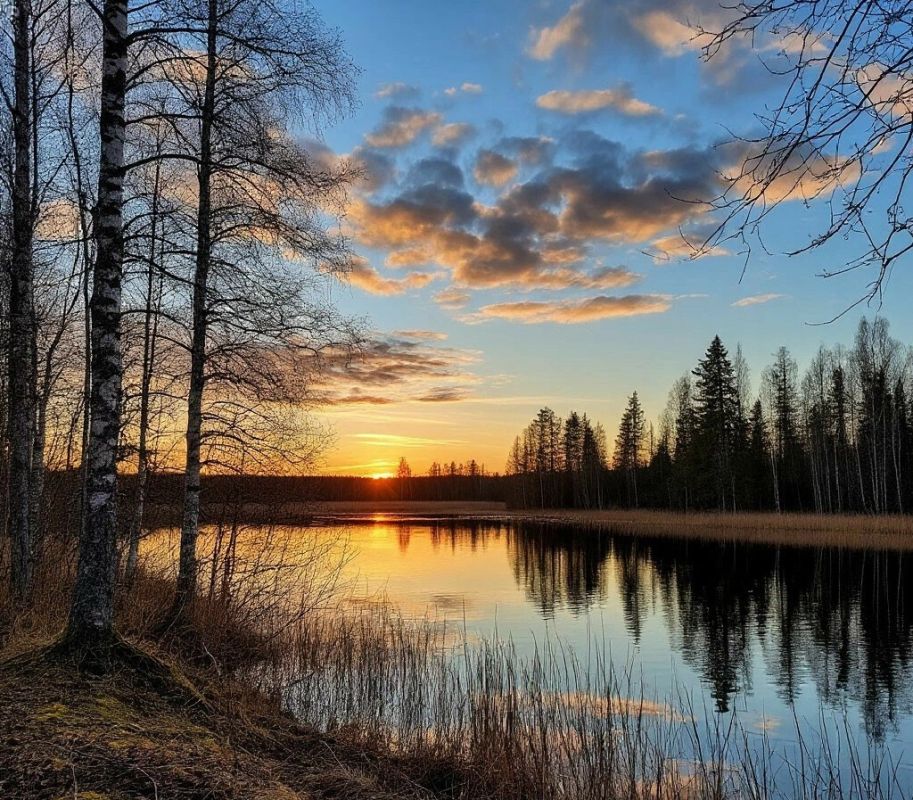 ������ ���� � ��� ���� ���������������� � �����