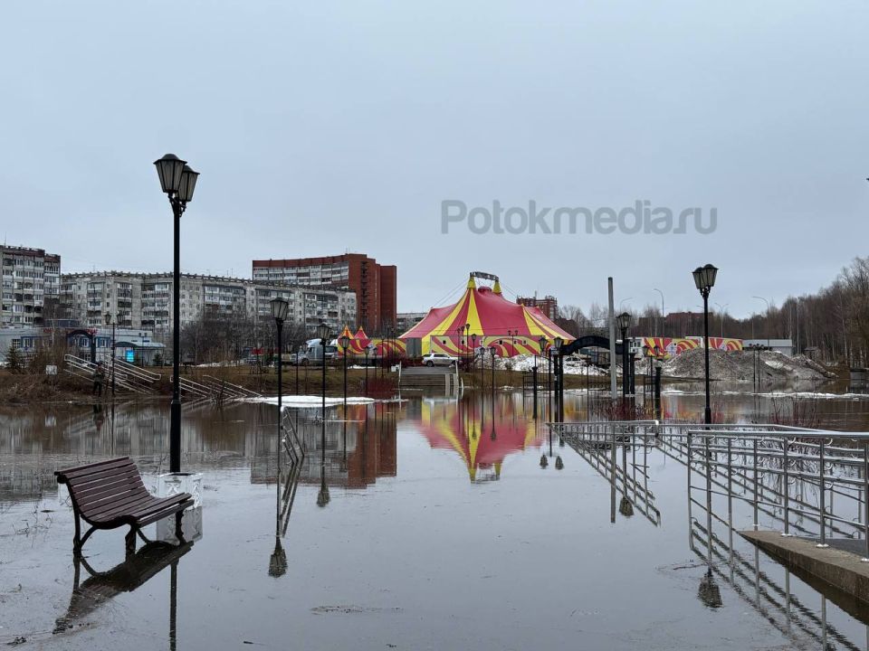 �������� �� ����� �������� ������ �����