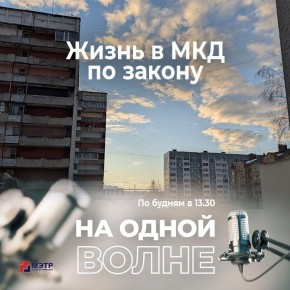 Соседи, подвалы и кондиционеры: юридические тонкости для владельцев квартир