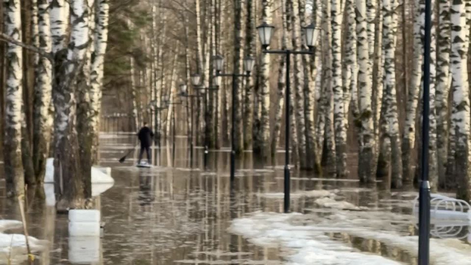 Аллея здоровья онлайн Предприимчивые горожане не теряют времени даром и катаются на сапах