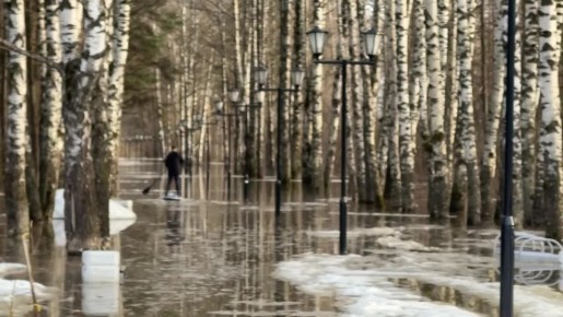 ����� �������� ������ �������������� �������� �� ������ ������� ����� � �������� �� �����