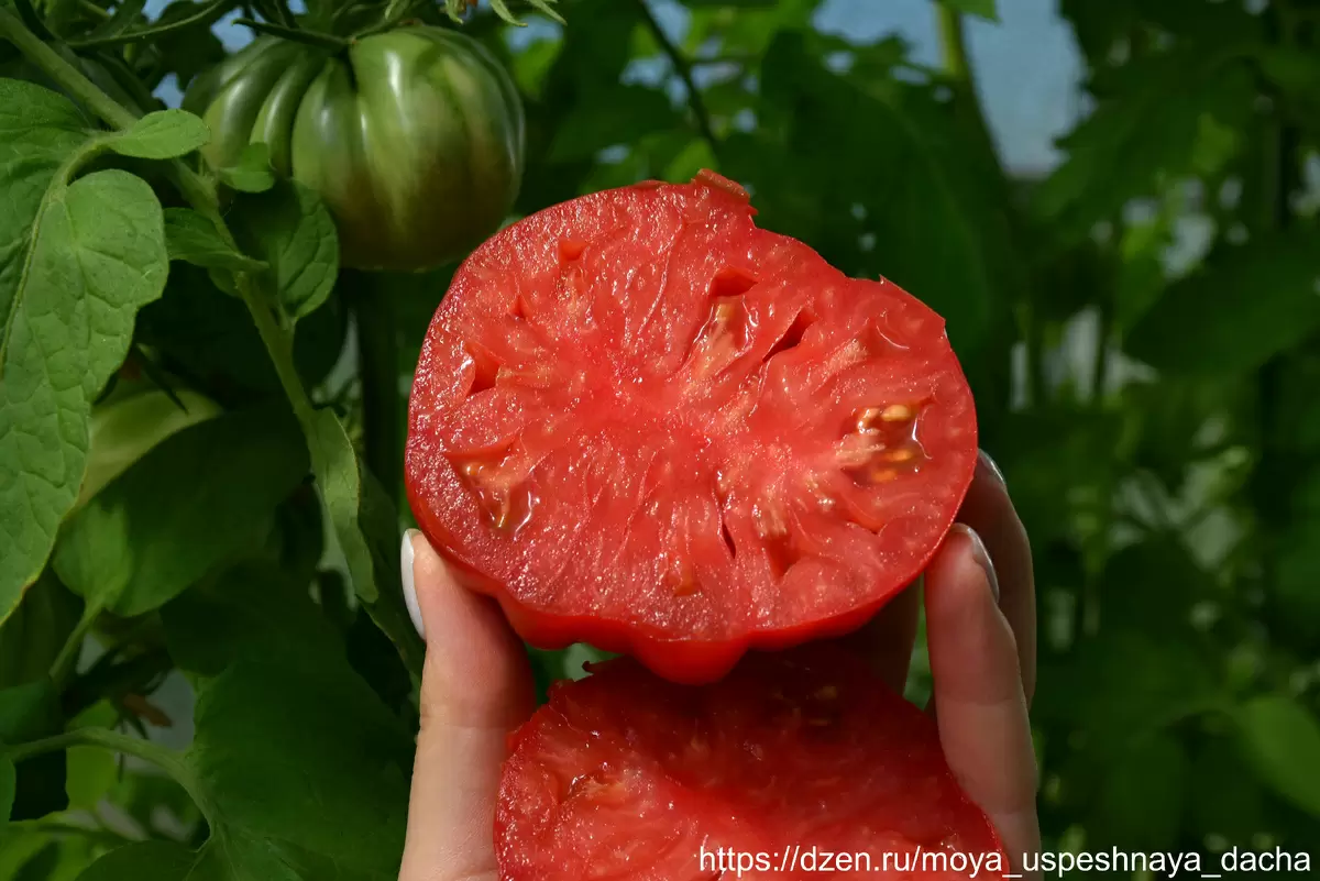 Томат инжирный малиновый: удивительный вкус и яркий внешний вид