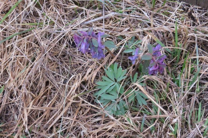 � ����� ����� �� ������� �������� ����� �������� �����������