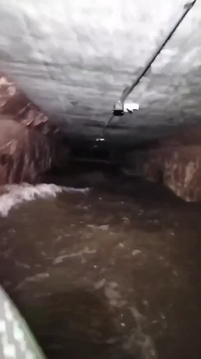 Теперь на Аллее здоровья в Йошкар-Оле не гуляют, а плавают