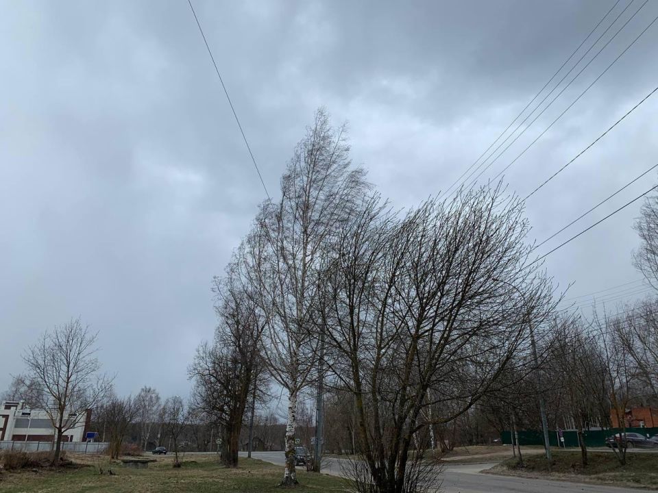 Днем 9 апреля местами по Марий Эл ожидается сильный ветер, порывы 15-18 м/с, сообщает Марийский ЦГМС - Филиал ФГБУ «Верхне-Волжское УГМС»