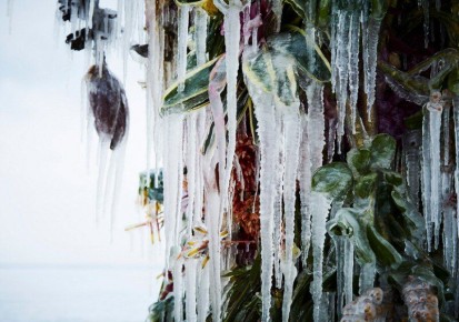 ��� ������� � ����� ��������� ��������: ������� ������ �� ����������