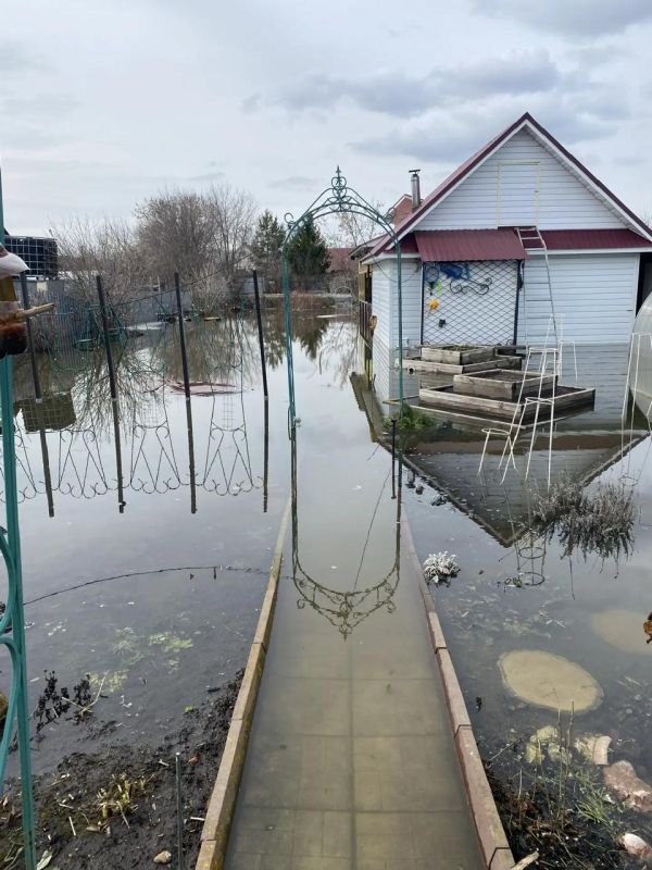 � ������� ������� ������� ���� ���������� ���������