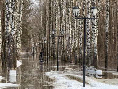 Сегодня в Марий Эл облачная погода, ночью небольшой дождь, днем умеренный