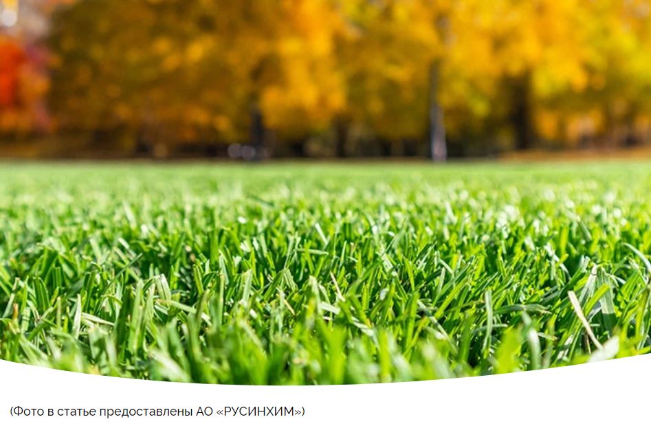 ����� �� ������: ������� ���������� ����� ��� �������