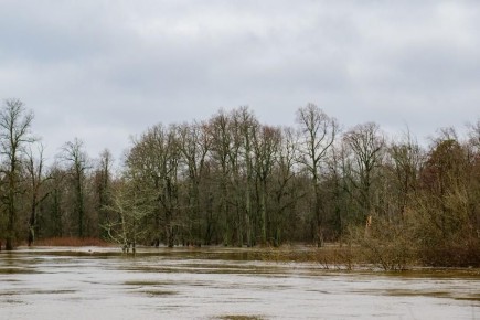 В Марий Эл введен режим повышенной готовности по паводку, сообщили в пресс-службе главы республики