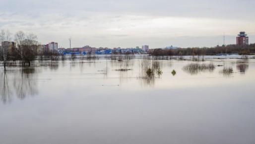 � ����� �� � ���� ����������� ���� ������� 221 ������������