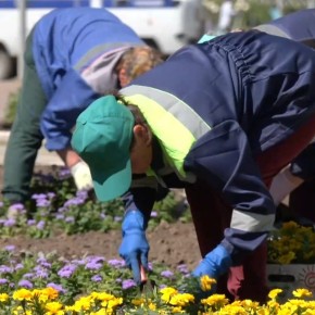 Доброе утро всем, кто уже заметил, что город меняет фильтр с «зимнего нуара» на «весеннюю романтику»!
