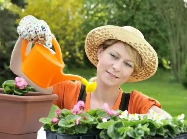 Эффективные способы борьбы с плесенью в цветочных горшках: народная мудрость на страже ваших растений